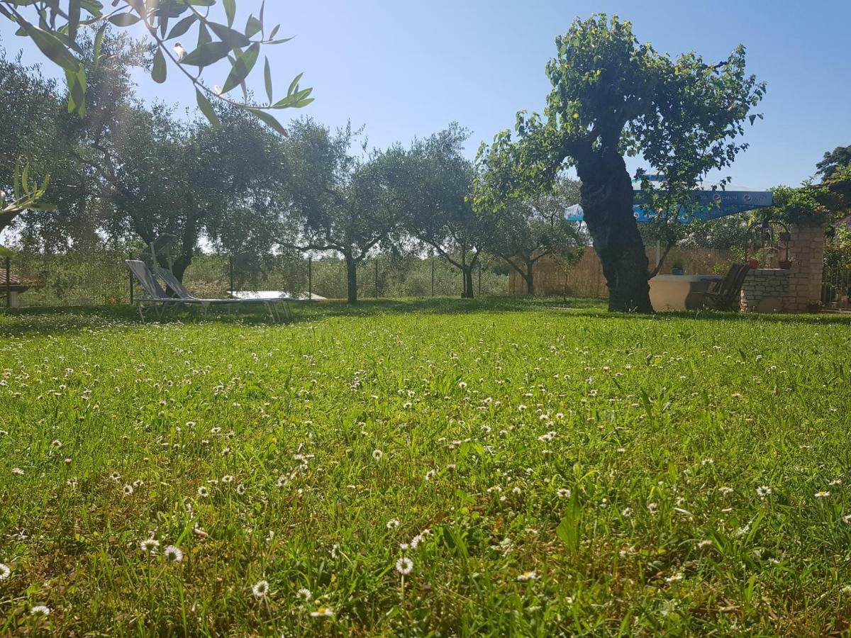 Villa Casa Istria Buje Esterno foto